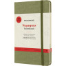 Блокнот MOLESKINE VOYAGEUR MEDIUM , нелинованный, зеленый VN002K16