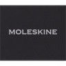 Шильд-символ MOLESKINE PINARIESSILV овен